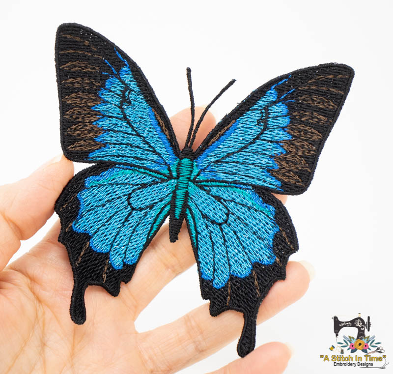 FSL Blue Emperor Butterfly