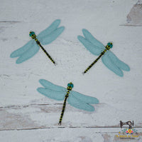 FSL Golden Ringed Dragonfly