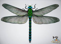 FSL & Mylar Giant Dragonfly - 9.5x14 hoop