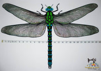 FSL & Mylar Giant Dragonfly - 8x12 hoop